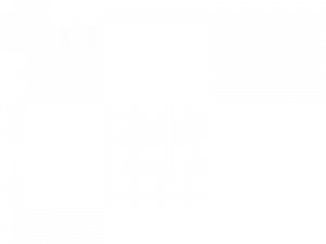 kurpark-lichterfest-bad-pyrmont-winter-2023-2024-partner-sponsor-unterstuetzer-staatsbad-pyrmont