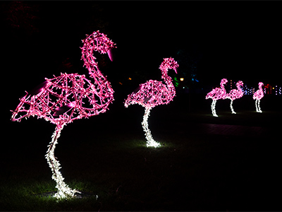 kurpark-lichterfest-bad-pyrmont-winter-2023-2024-lichtinstallation-flamingo-©LUMAGICA