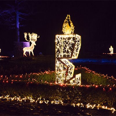 kurpark-lichterfest-bad-pyrmont-winter-2023-2024-lichtinstallation-kerze-©LUMAGICA