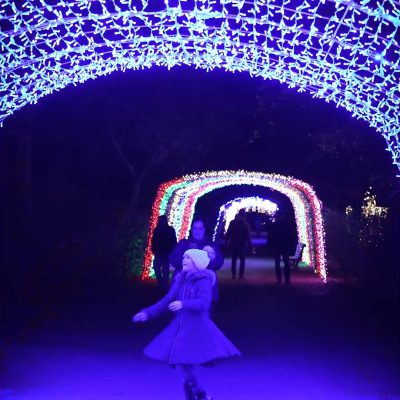 lichterfest-socialmedia-9_16 9